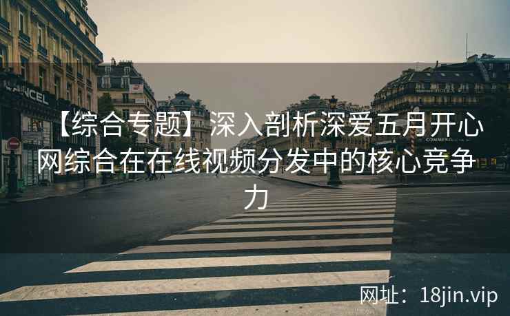 【综合专题】深入剖析深爱五月开心网综合在在线视频分发中的核心竞争力
