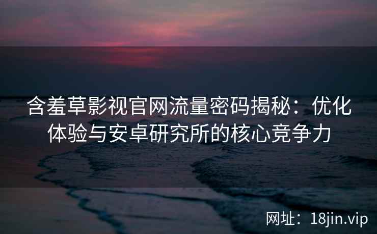 含羞草影视官网流量密码揭秘：优化体验与安卓研究所的核心竞争力