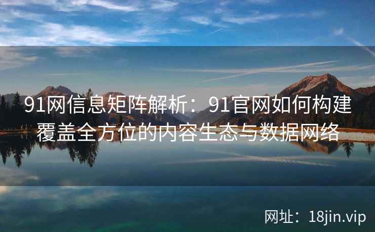 91网信息矩阵解析：91官网如何构建覆盖全方位的内容生态与数据网络