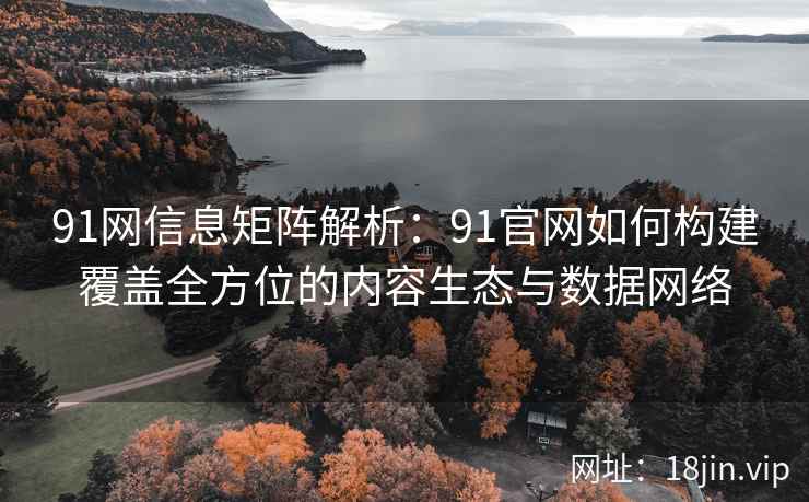 91网信息矩阵解析：91官网如何构建覆盖全方位的内容生态与数据网络